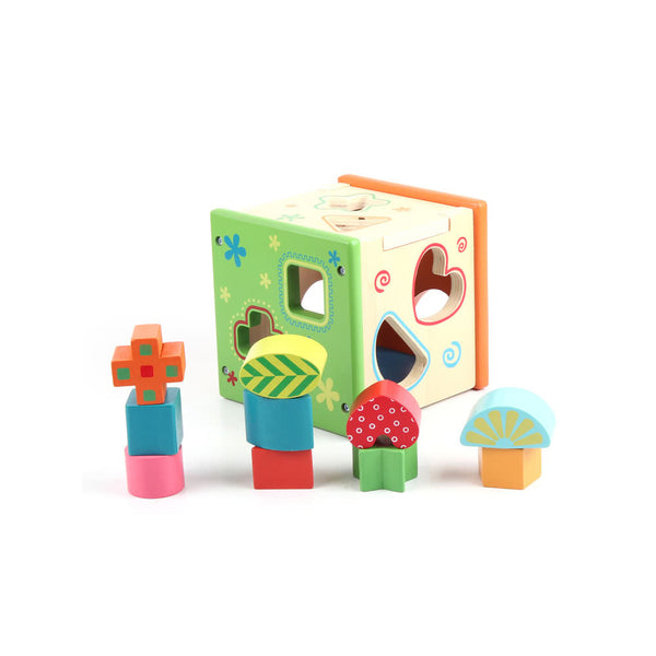 Colorful Intelligence Box Finely Crafted Wood Shape Sorting Cube Box Educational Toy for Toddlers & Young Children